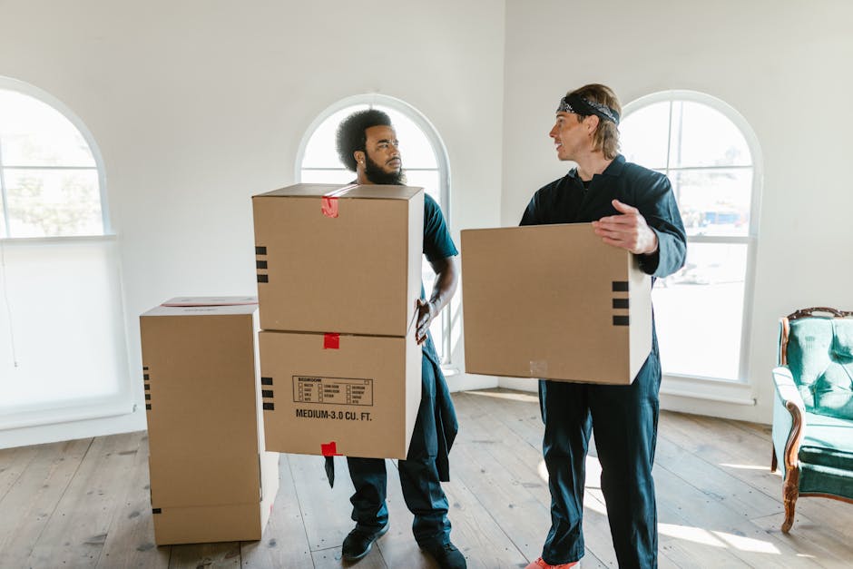 Two professional movers from Brixton removals company Man and Van Brixton are inside a spacious, well-lit room with white walls and large arched windows, carrying and arranging medium-sized cardboard