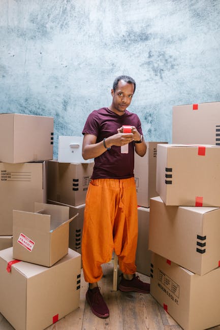 Two professional movers from Brixton removals company Man and Van Brixton are inside a spacious, well-lit room with white walls and large arched windows, carrying and arranging medium-sized cardboard
